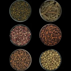 I 6 Pepi che hanno Fatto la Storia