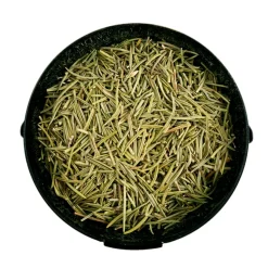 Rosmarino Siciliano - Bembo